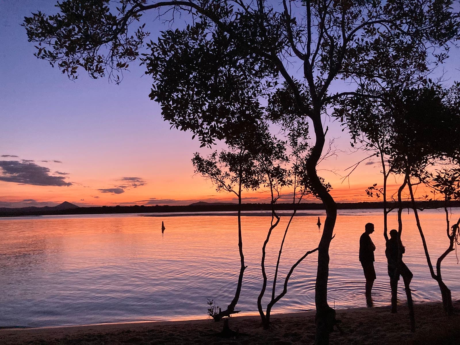 Doggy Beach — Noosaville, Sunshine Coast