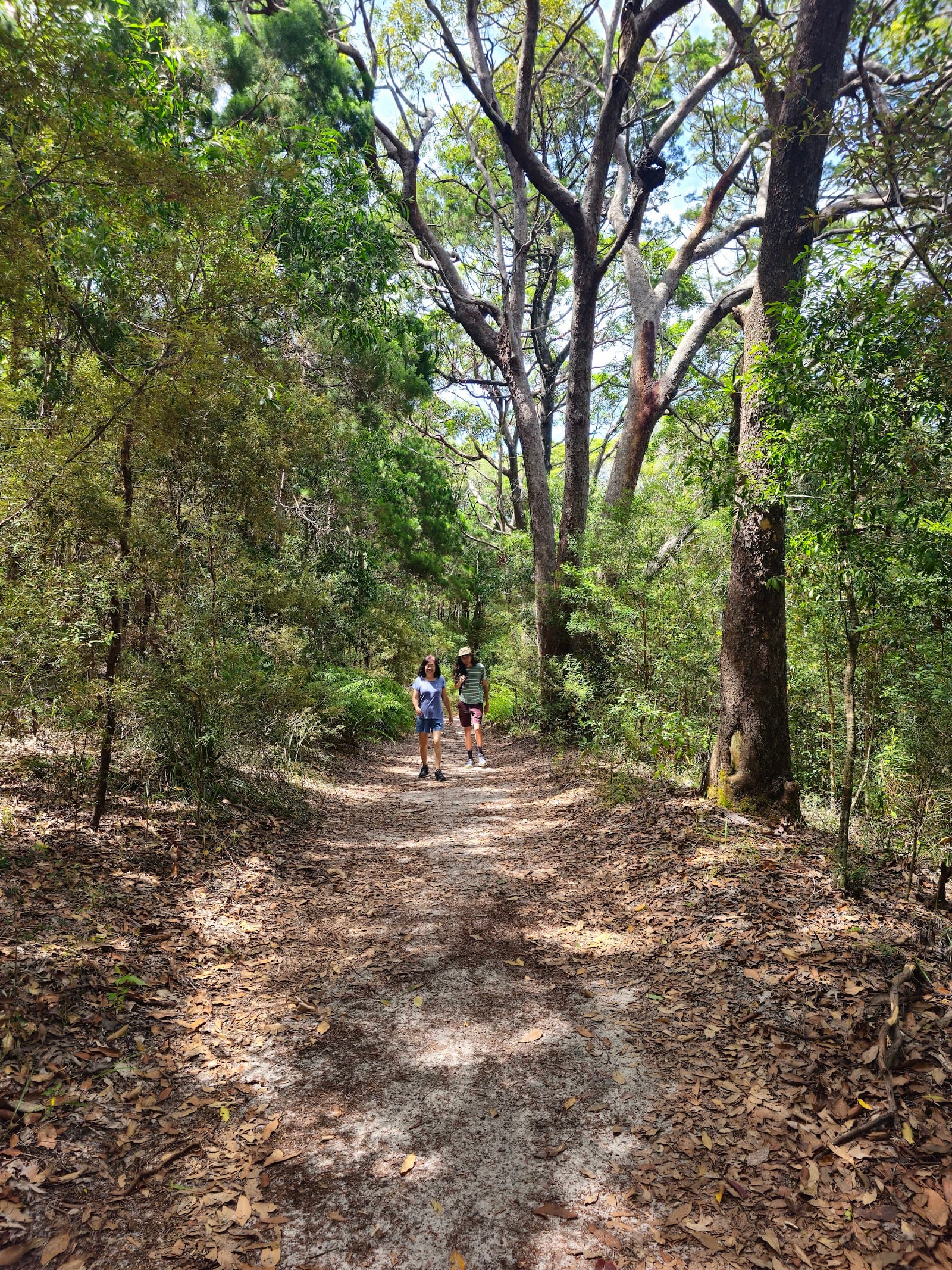 Alexandria Bay Walk — Peregian Beach, Sunshine Coast
