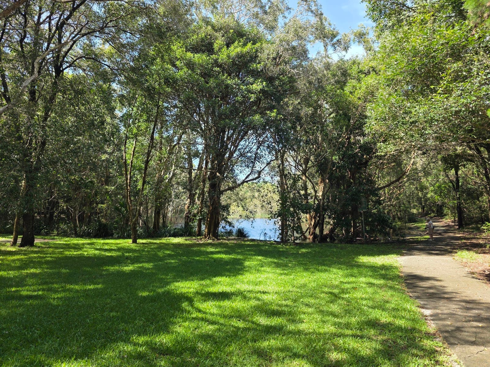 PINAROO PARK - Noosa Junction — Noosaville, Sunshine Coast