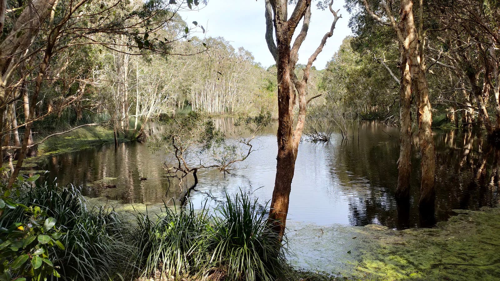 PINAROO PARK - Noosa Junction — Noosaville, Sunshine Coast