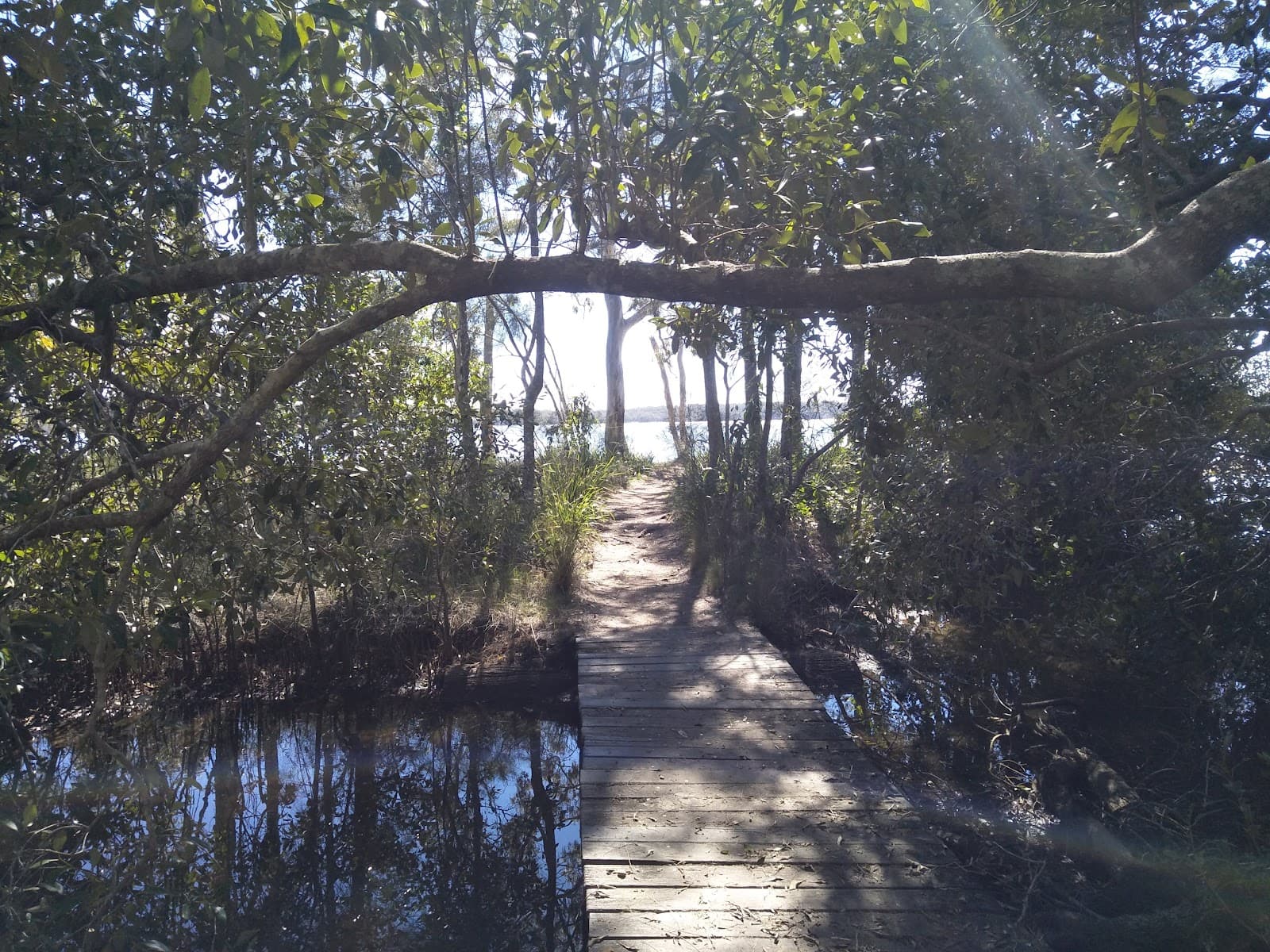 Weyba Creek Conservation Park — Noosaville, Sunshine Coast