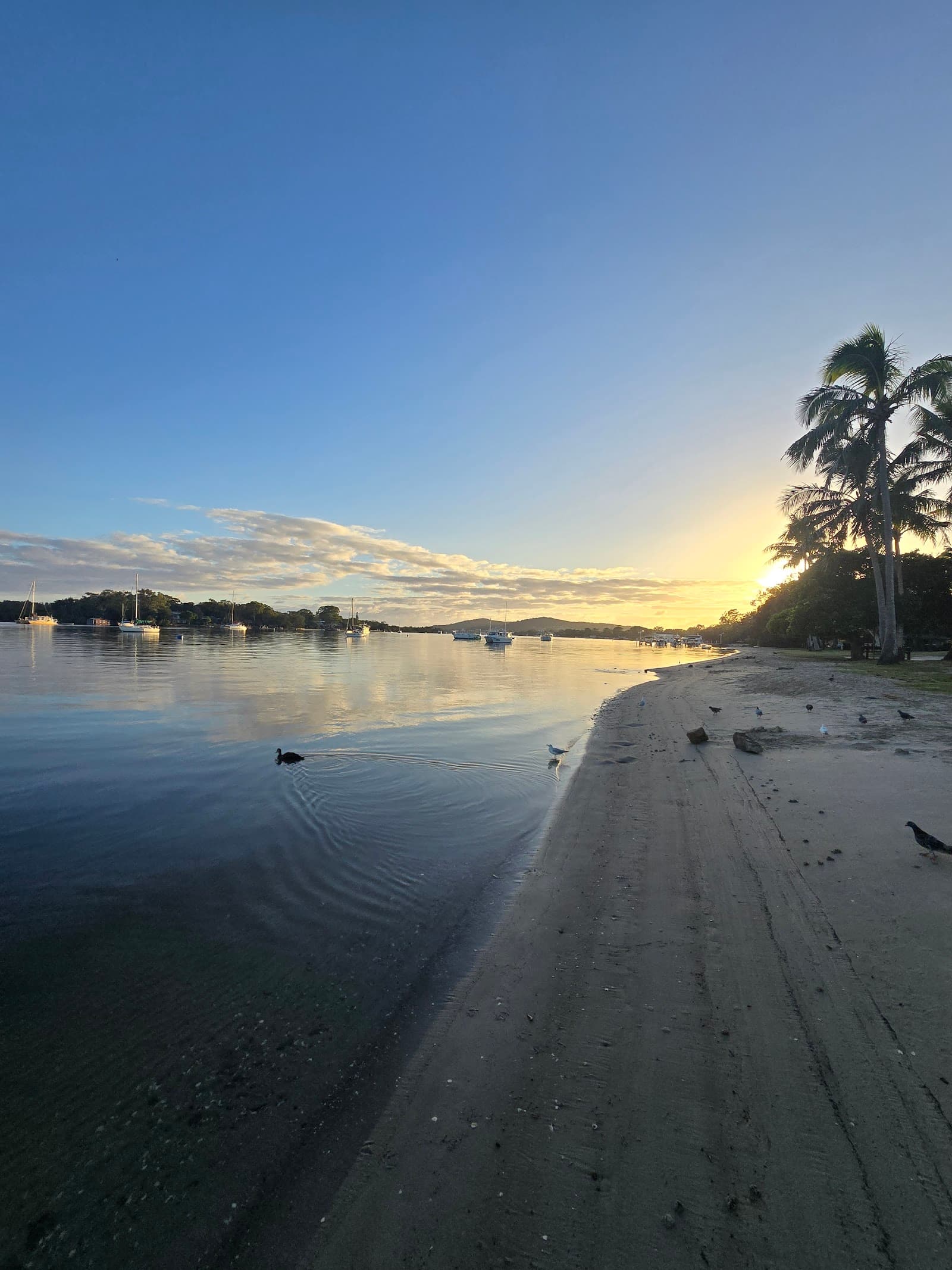 Chaplin Park — Noosaville, Sunshine Coast
