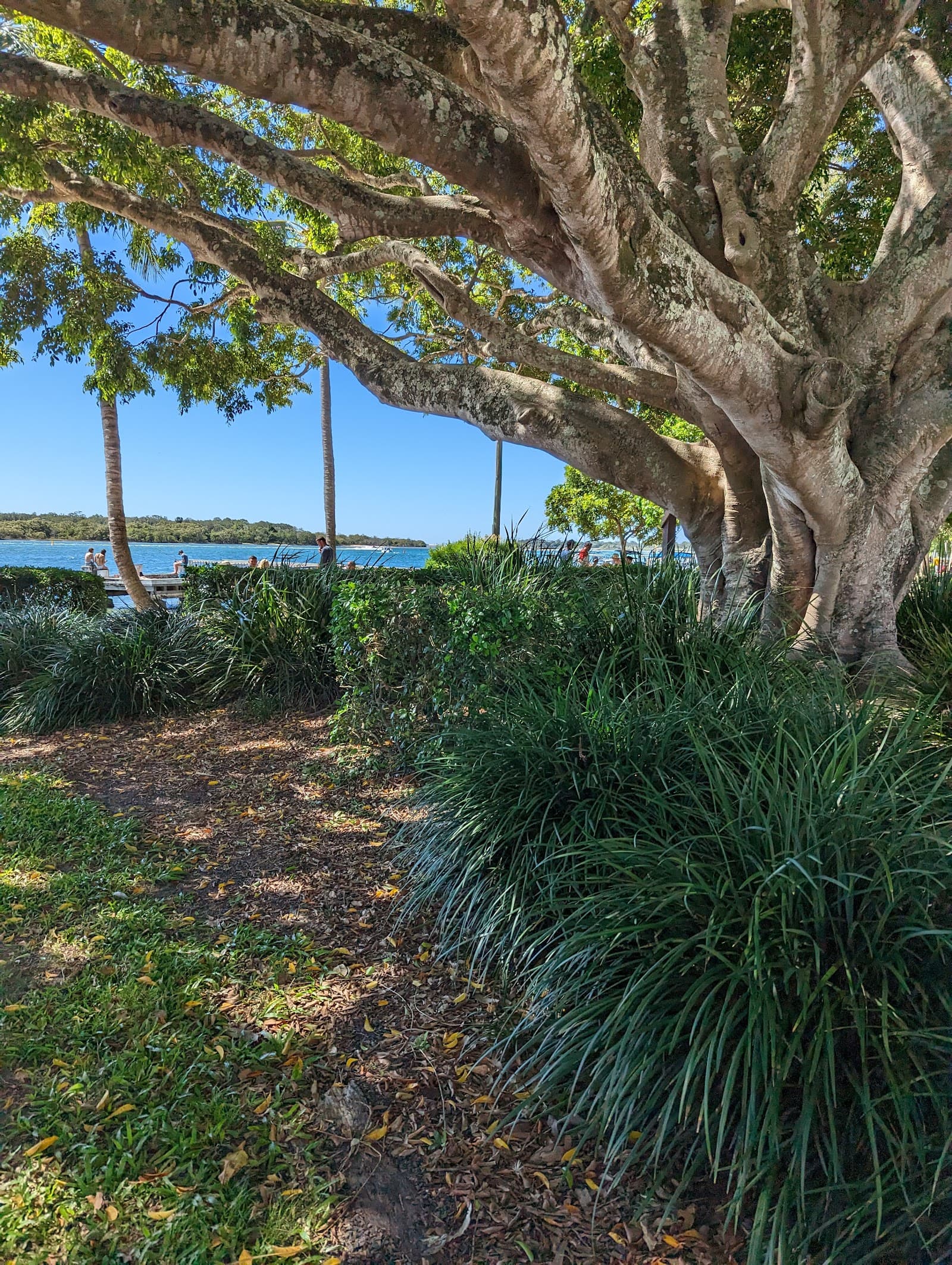 Ely Park — Noosaville, Sunshine Coast