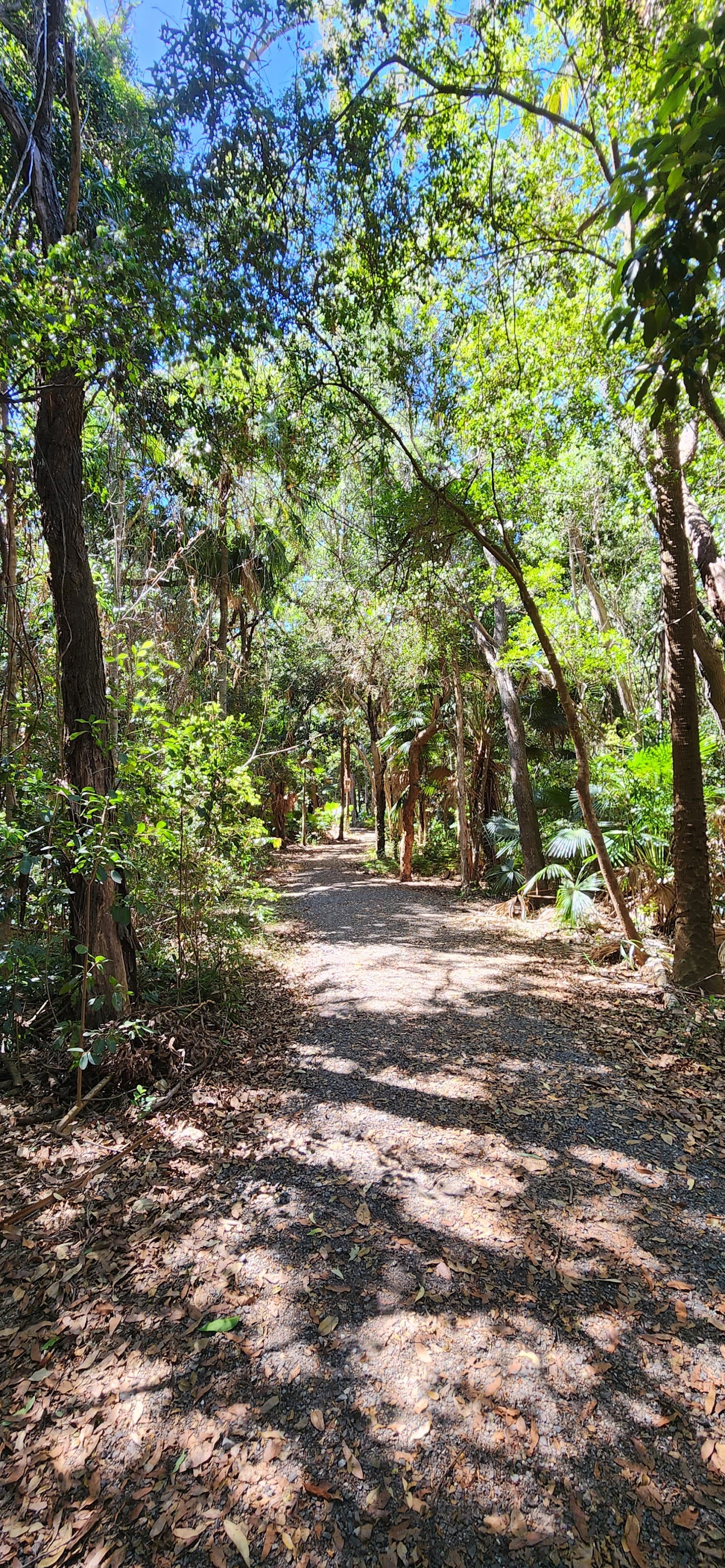 Ben Bennett Bushland Park — Caloundra, Sunshine Coast