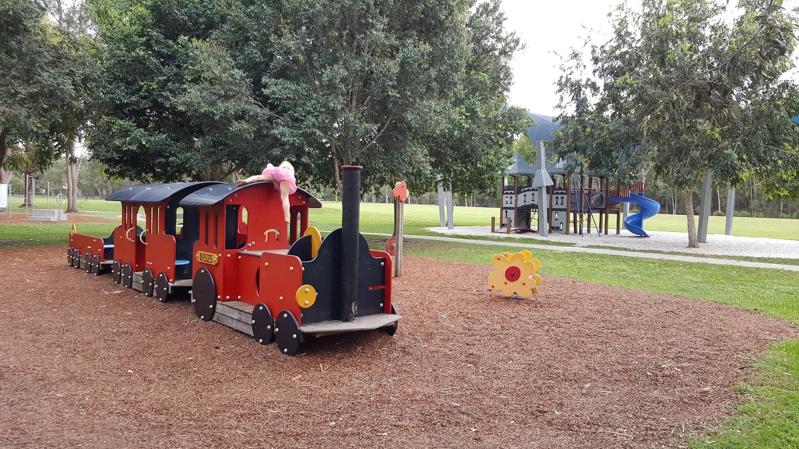 Little Mountain Common — Caloundra, Sunshine Coast