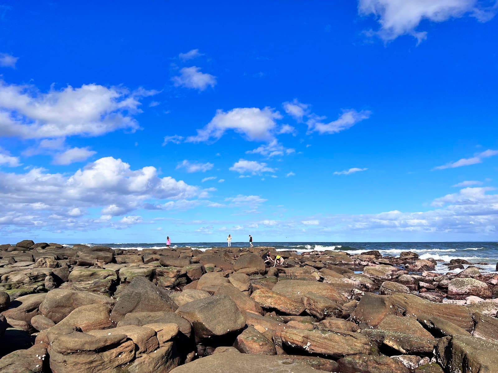 Shelly Beach Park — Montville, Sunshine Coast