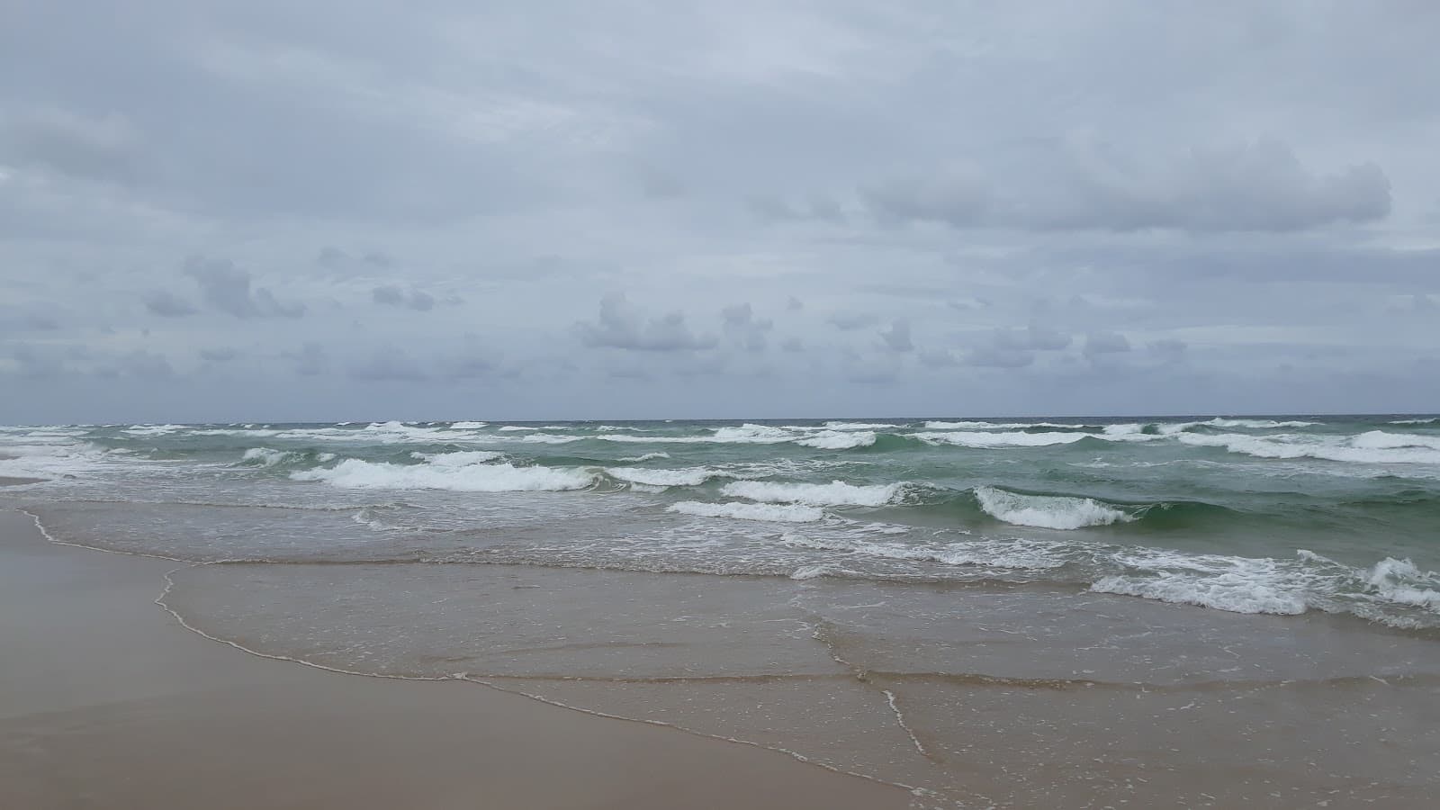 Off leash dog beach — Coolum Beach, Sunshine Coast