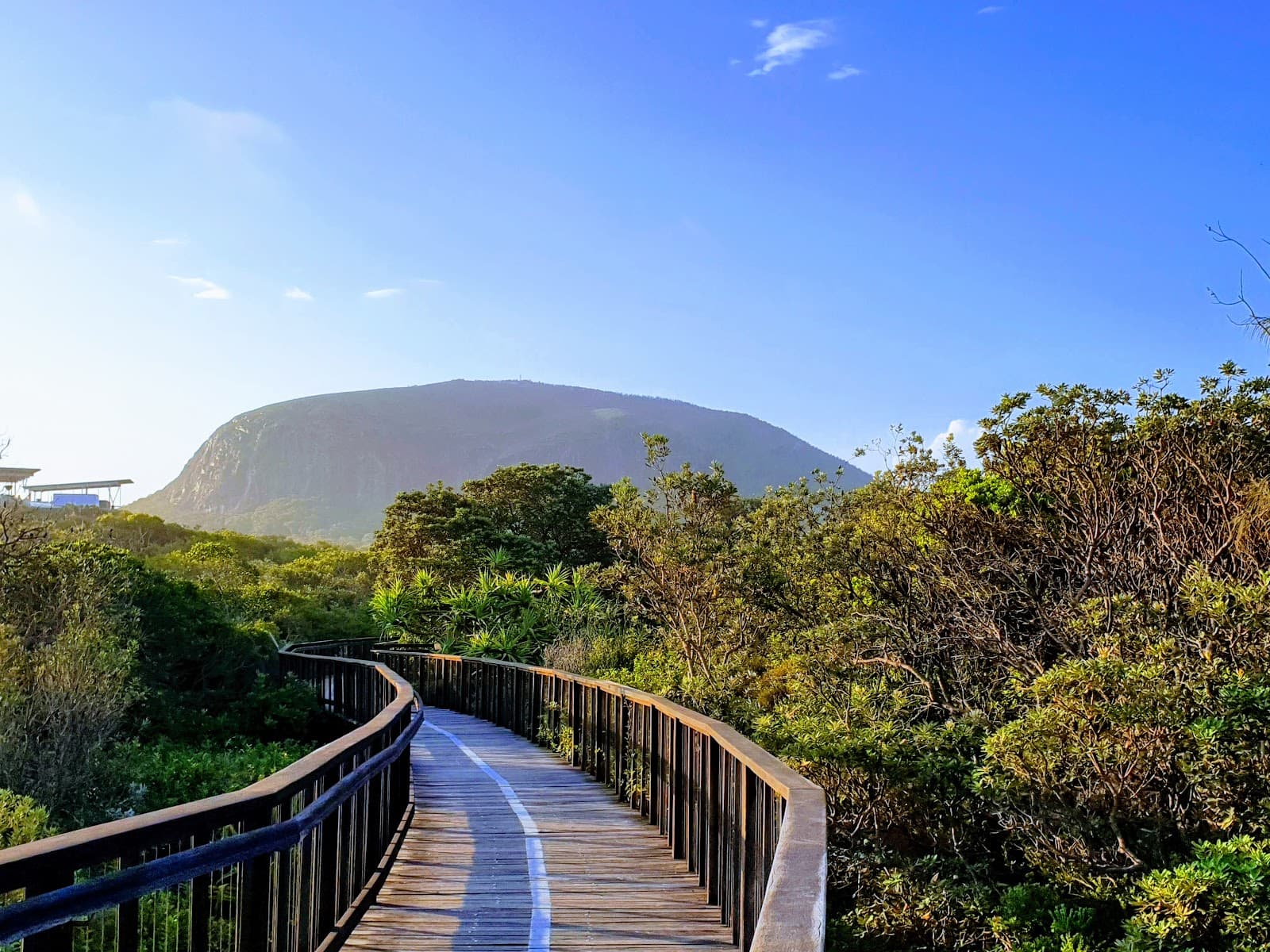 Boardwalk View Of Mt Coolum — Marcoola, Sunshine Coast