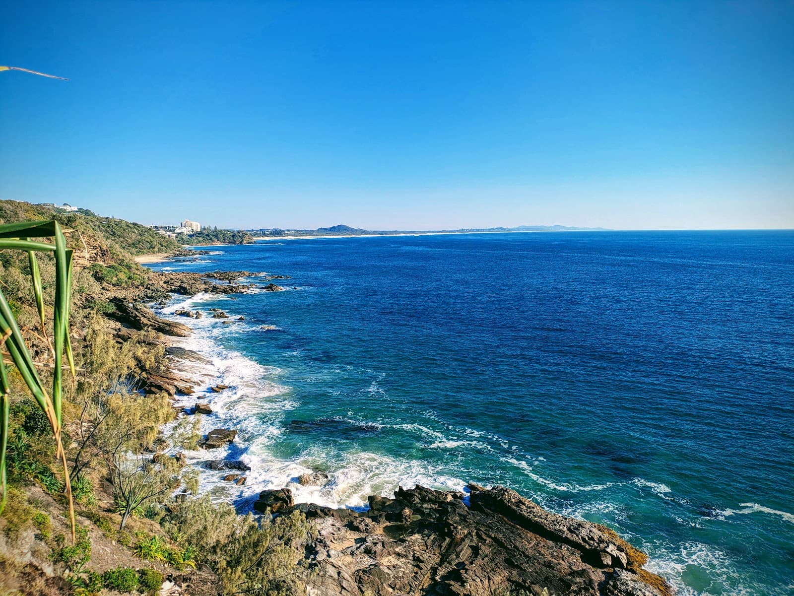 Yaroomba Coolum Foreshore Reserve — Coolum Beach, Sunshine Coast