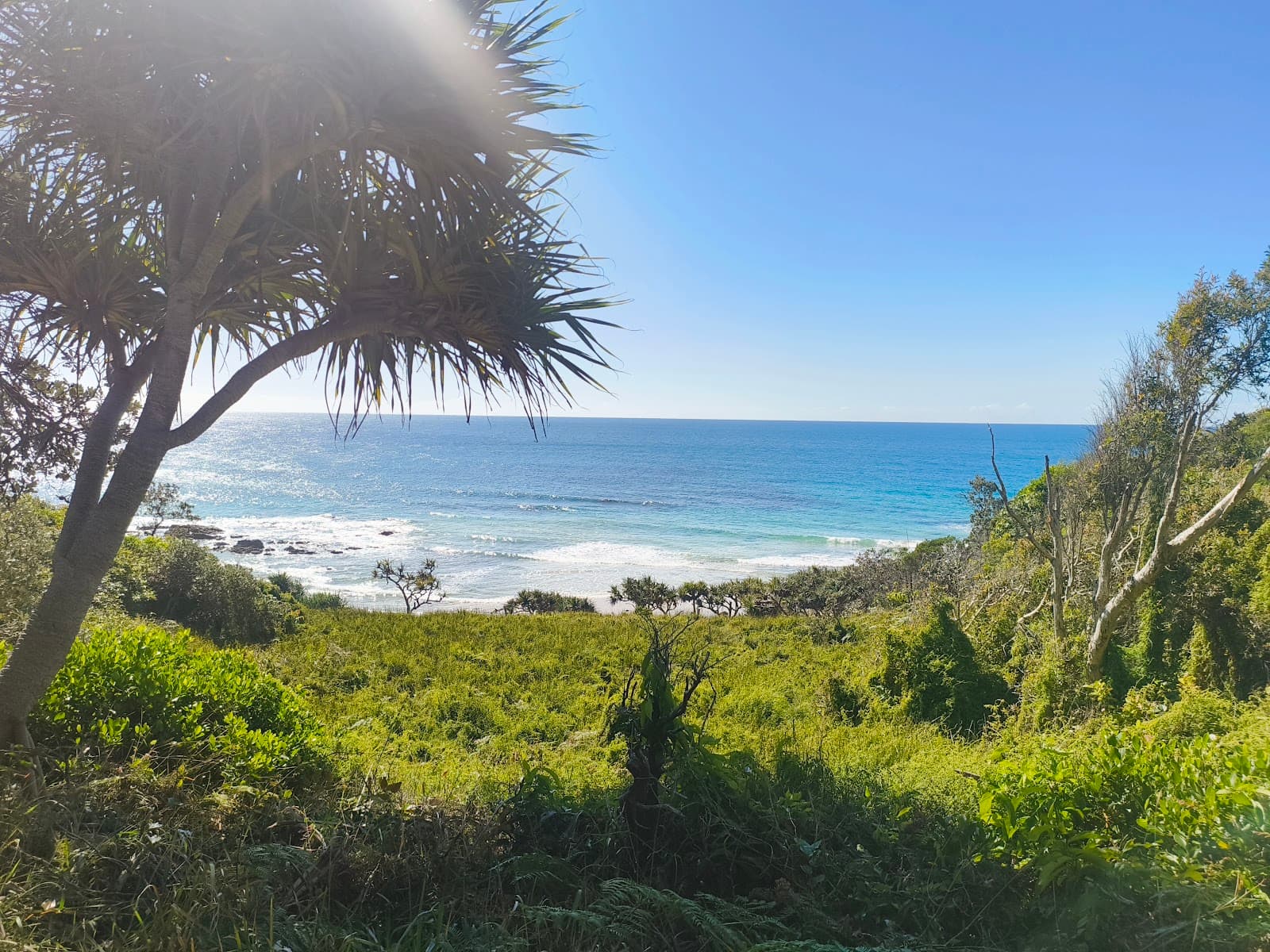 Yaroomba Coolum Foreshore Reserve — Coolum Beach, Sunshine Coast