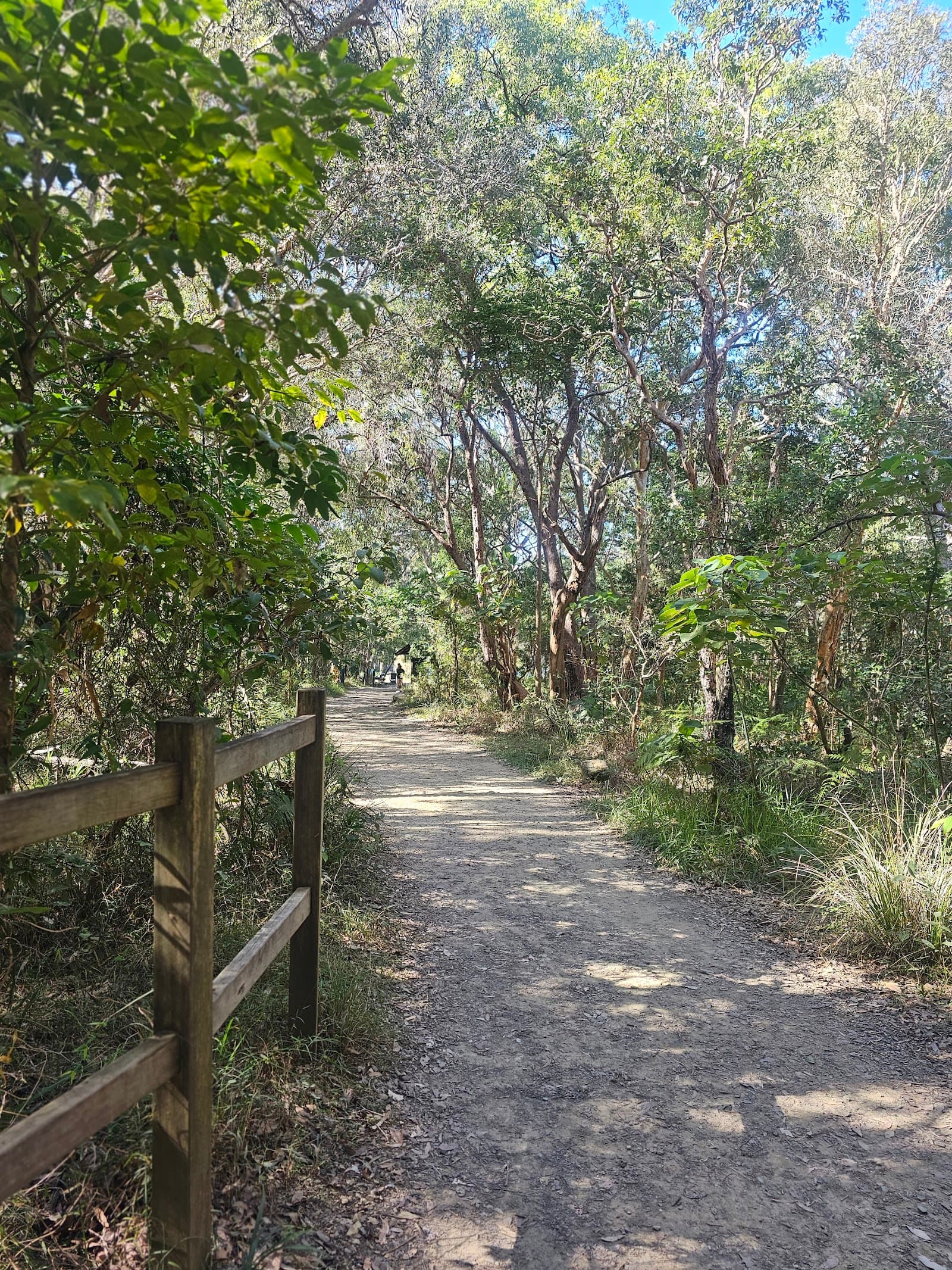 Mount Coolum Walking Trail — Marcoola, Sunshine Coast