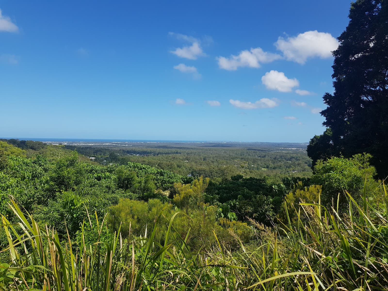 Buderim Village Park — Buderim, Sunshine Coast