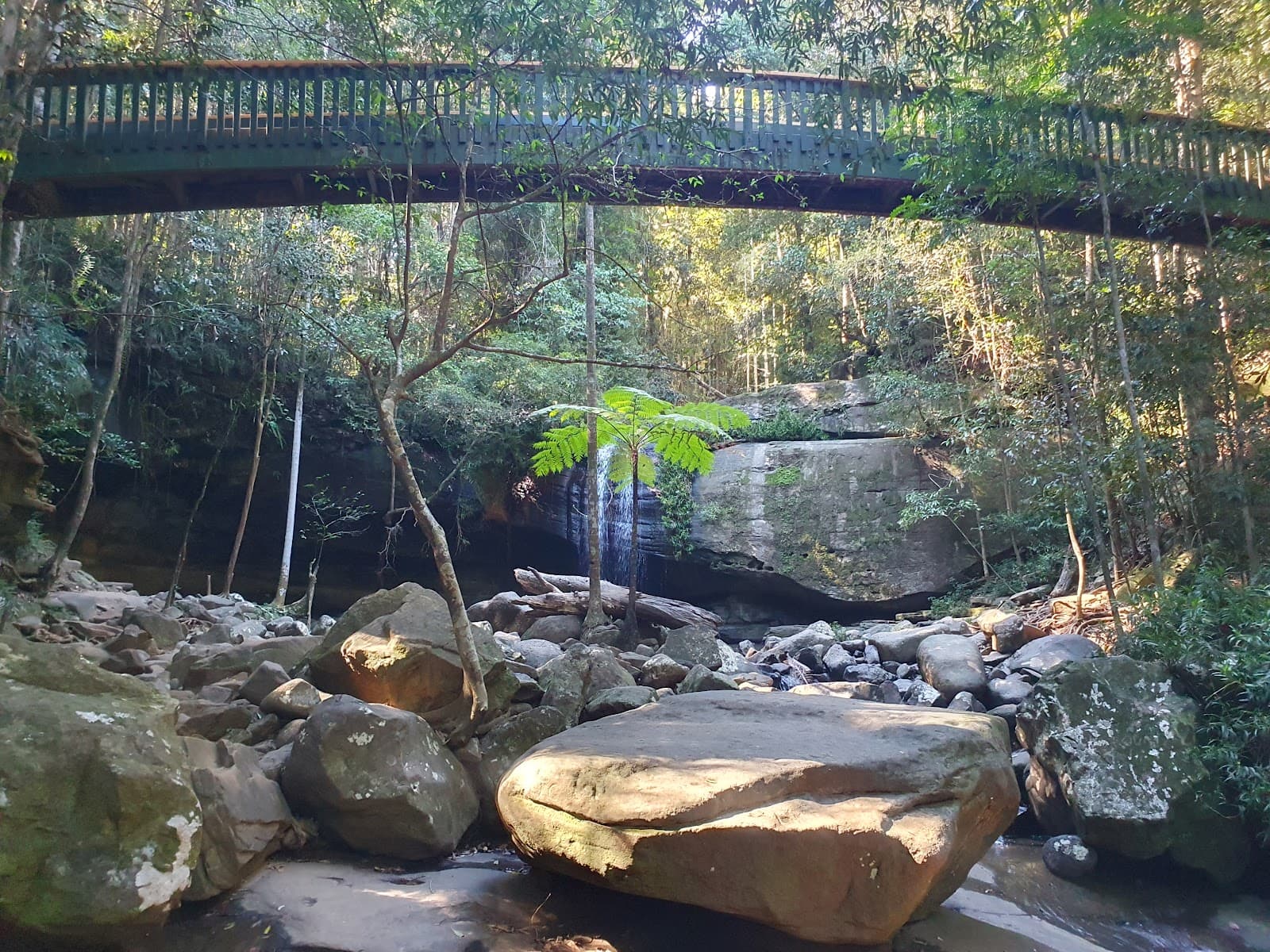 Buderim Forest Park — Buderim, Sunshine Coast