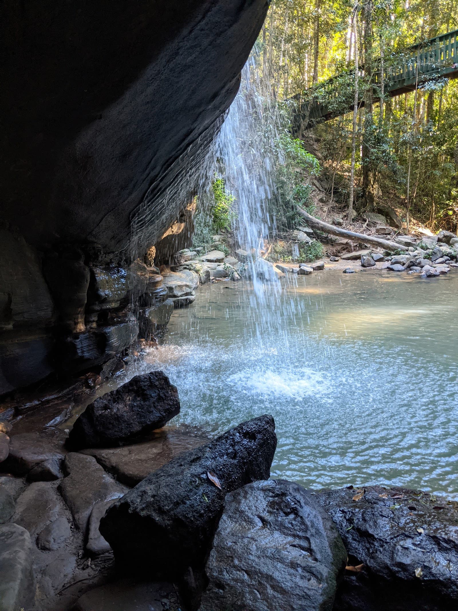 Buderim Forest Park — Buderim, Sunshine Coast