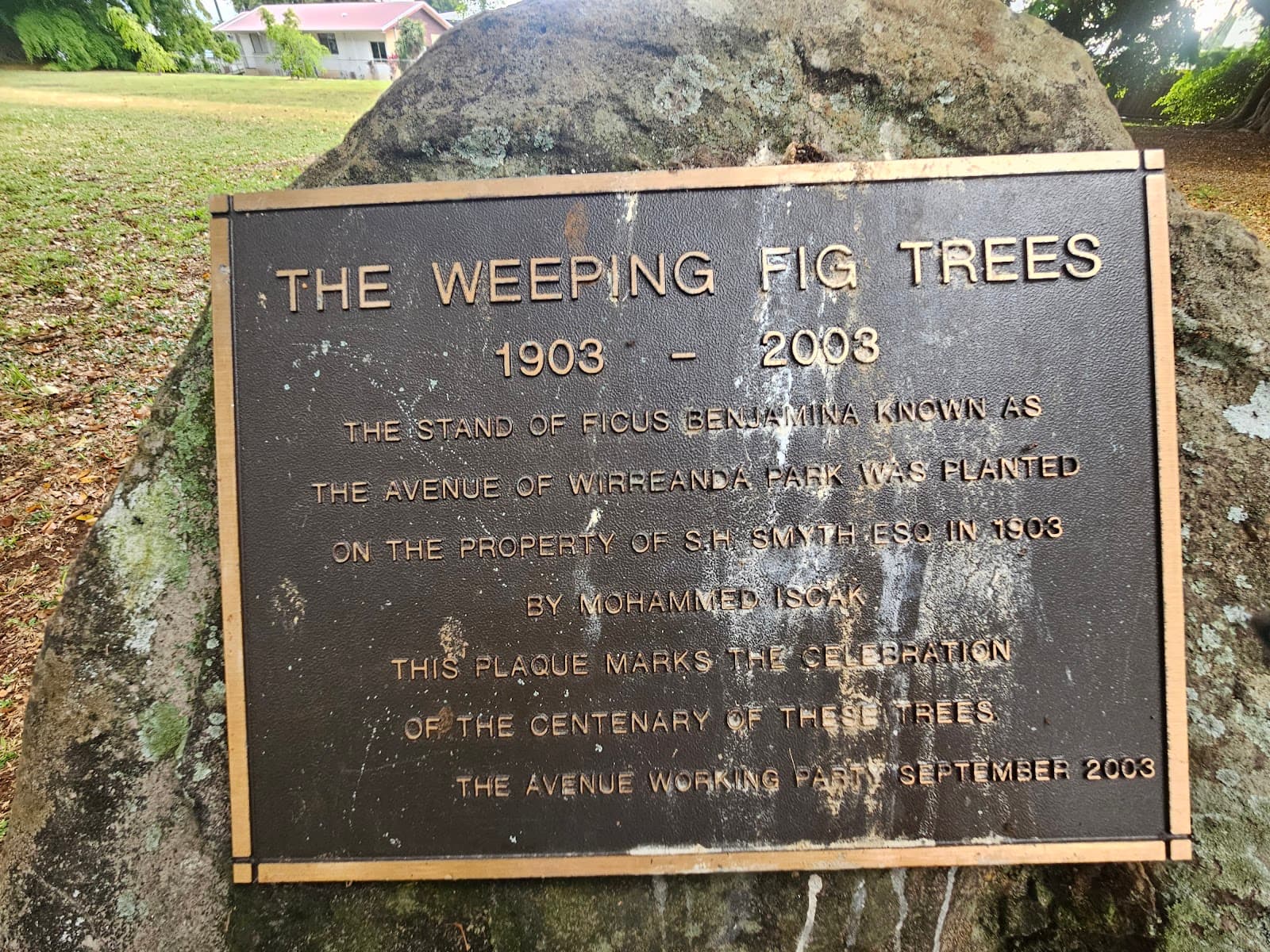 Wirreanda Park — Buderim, Sunshine Coast