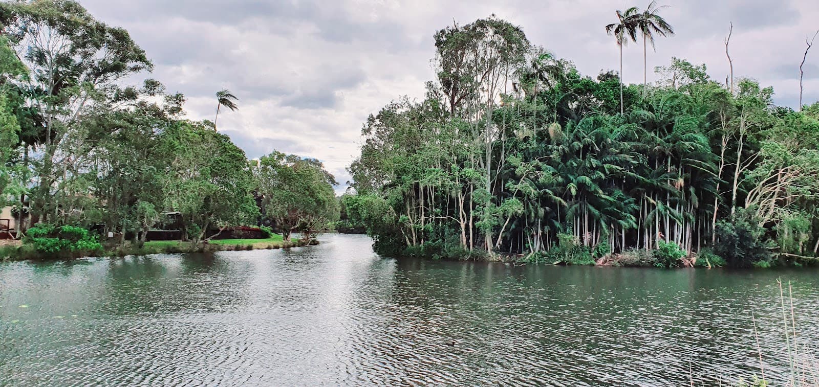 Buderim Lakeshore Park — Buderim, Sunshine Coast