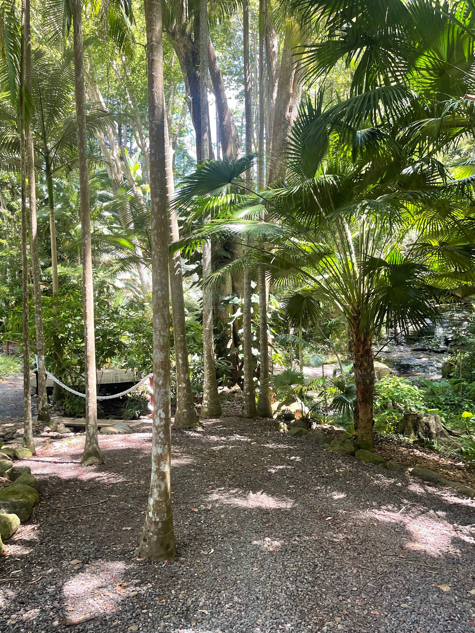 Martin's Creek waterfalls — Buderim, Sunshine Coast
