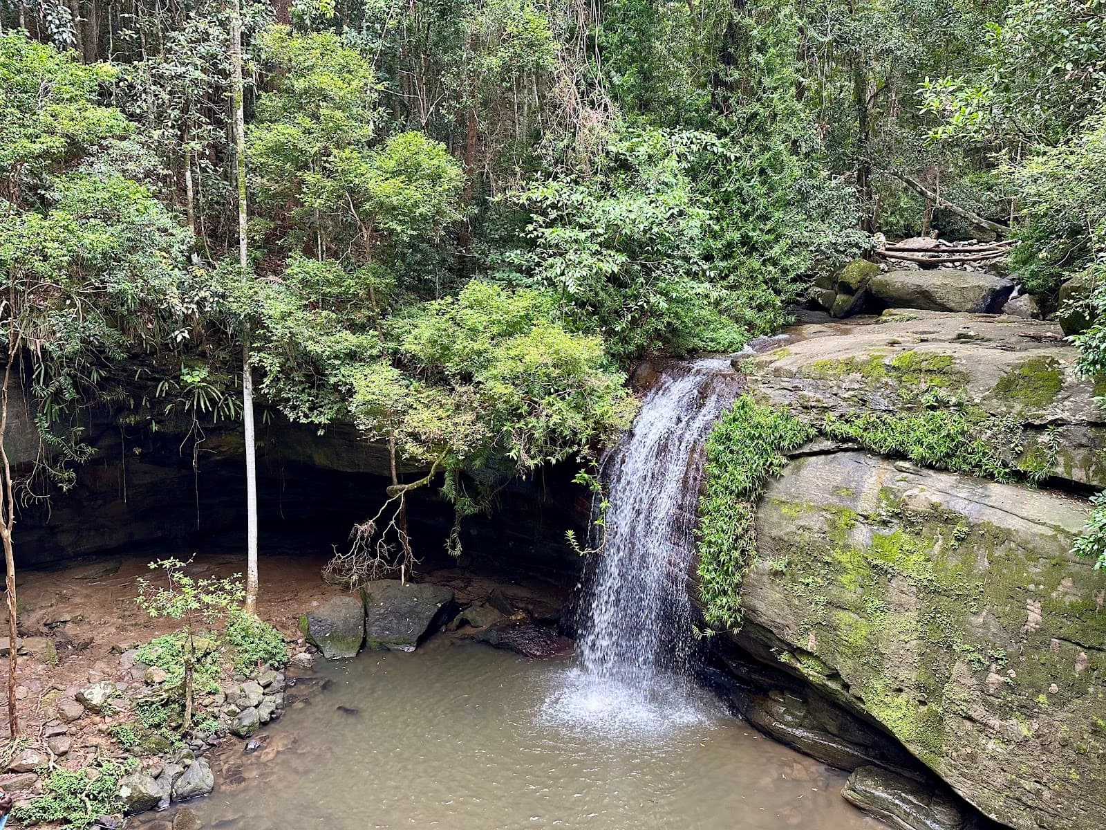 Martin's Creek waterfalls — Buderim, Sunshine Coast