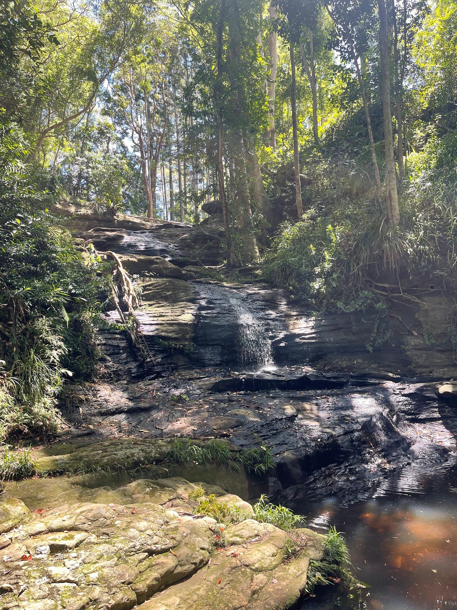 Martin's Creek waterfalls — Buderim, Sunshine Coast
