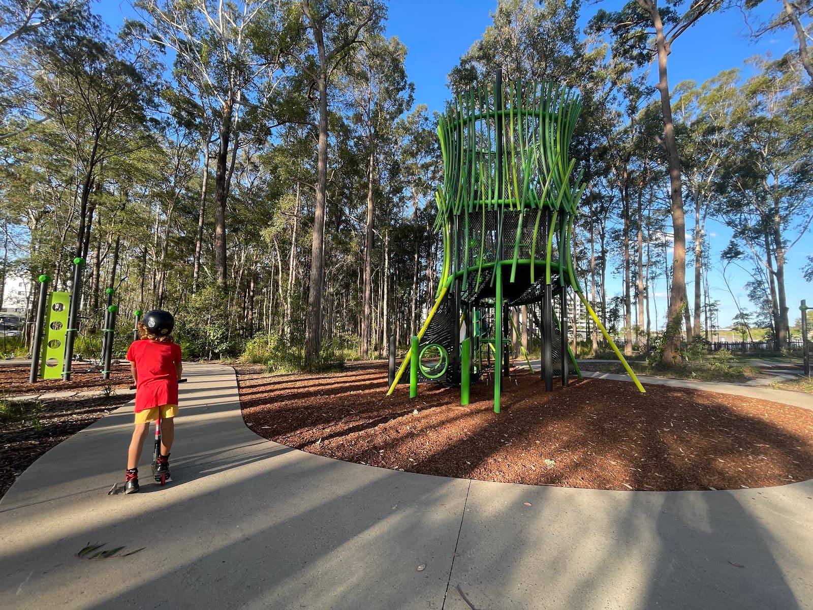 Sippy Downs Forest Park — Kawana Waters, Sunshine Coast