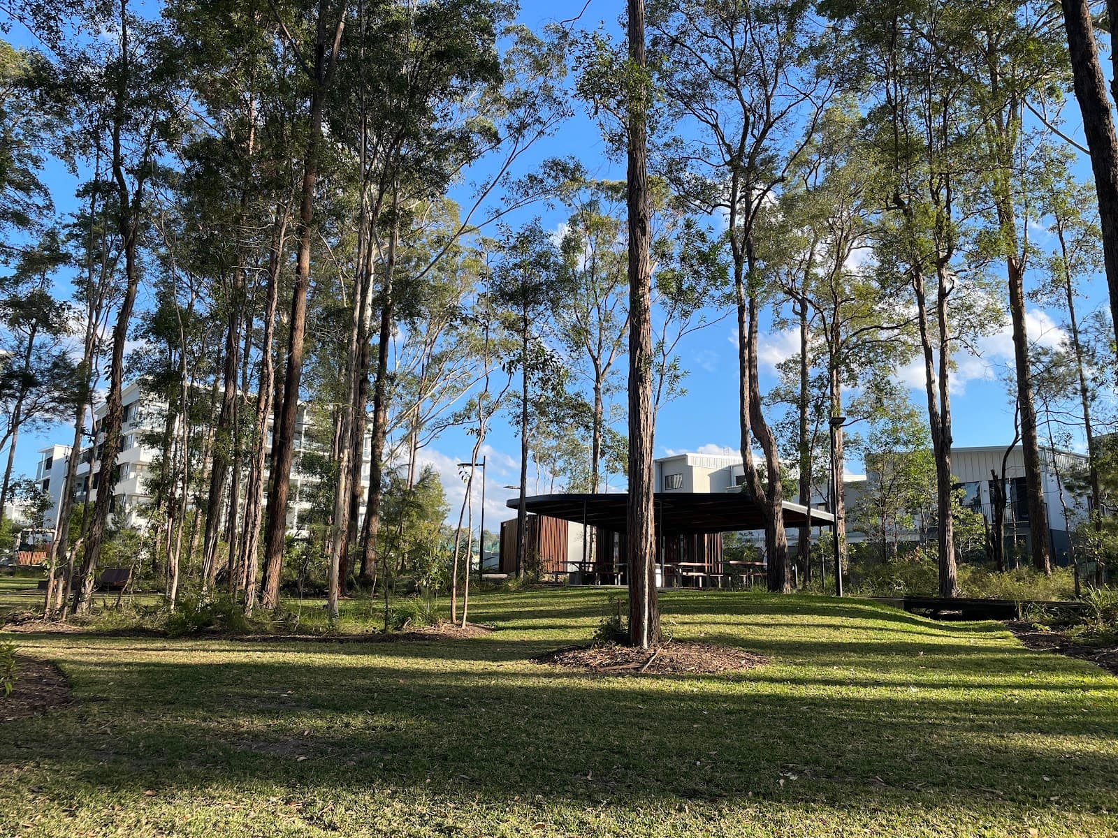 Sippy Downs Forest Park — Kawana Waters, Sunshine Coast