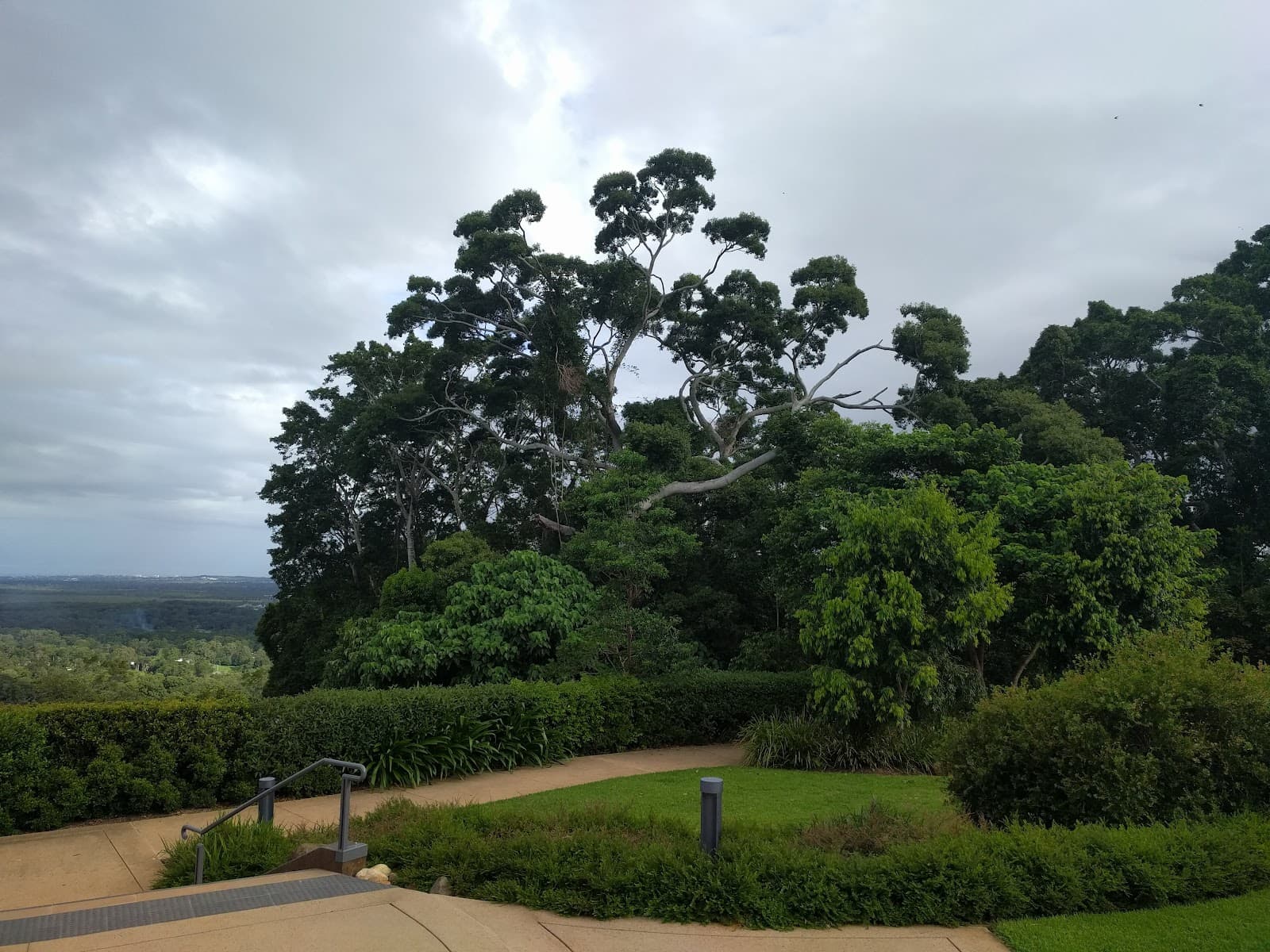 Tree of Life Buderim — Buderim, Sunshine Coast