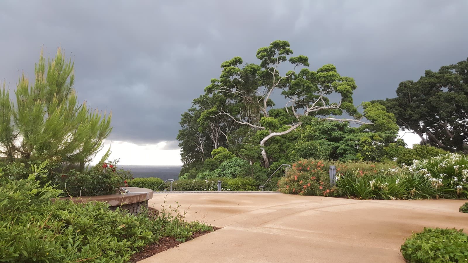 Tree of Life Buderim — Buderim, Sunshine Coast