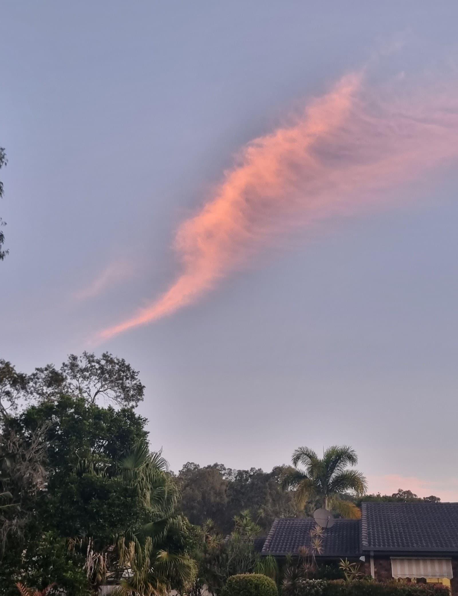 Forestwood Drive Park — Buderim, Sunshine Coast