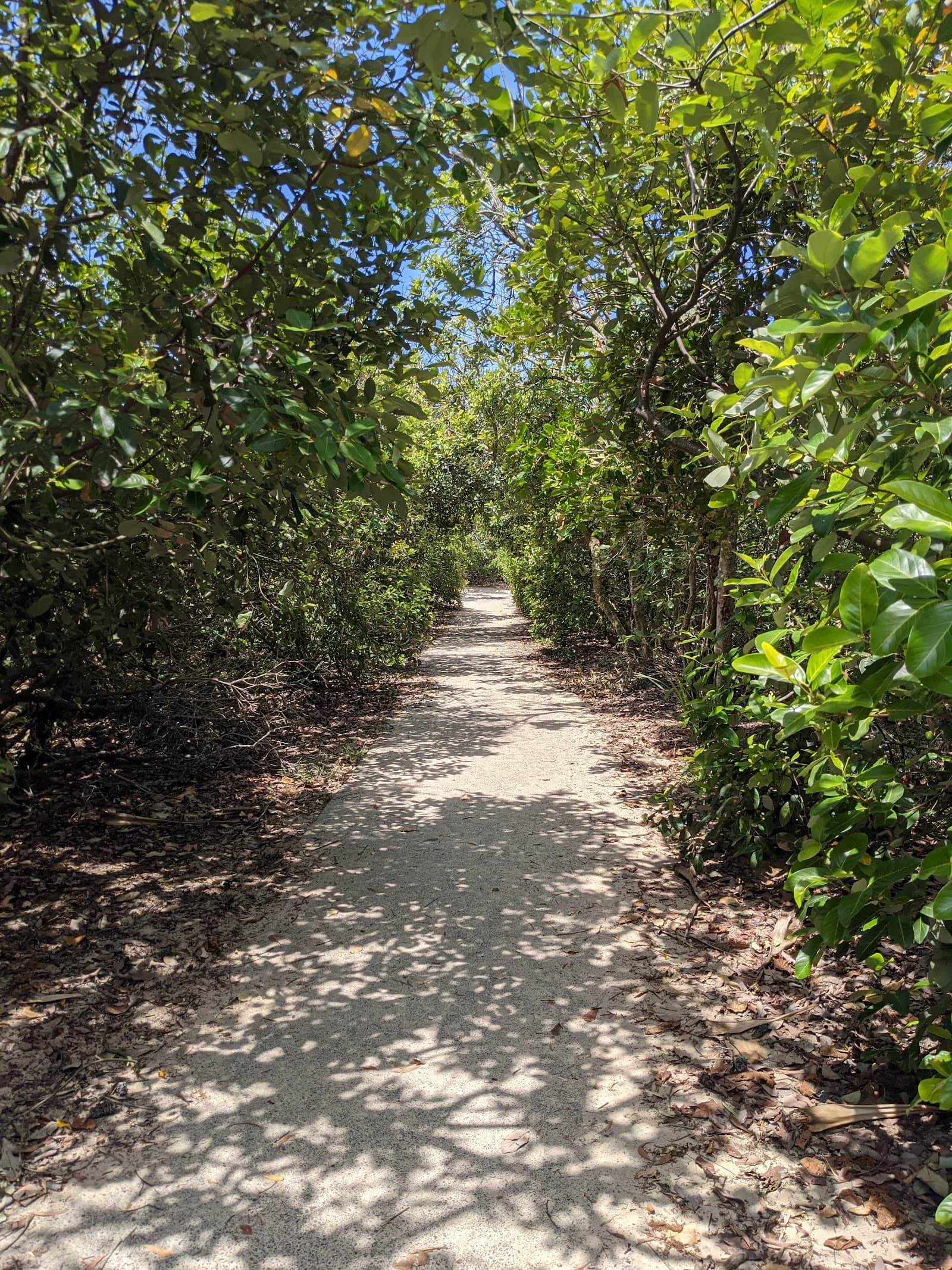 Victory Park — Peregian Beach, Sunshine Coast