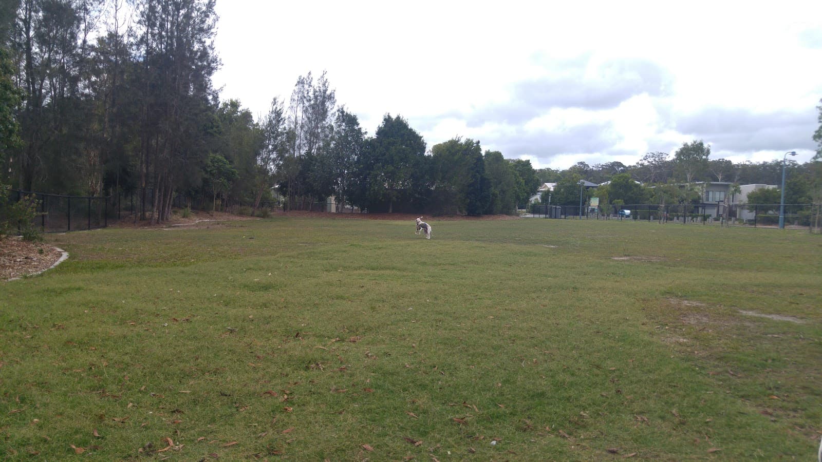 The Avenue Park – Duck Pond — Peregian Beach, Sunshine Coast