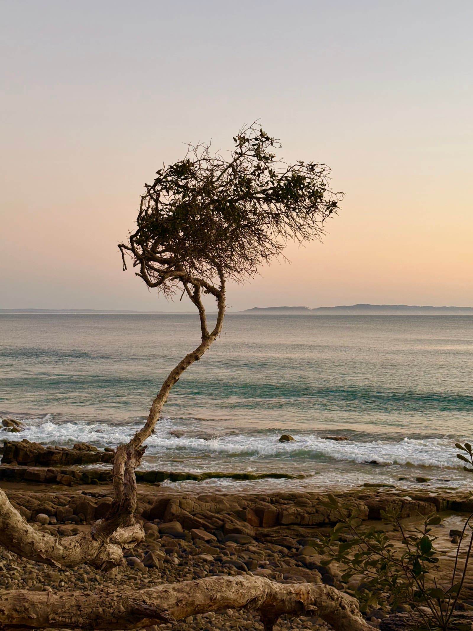 Noosa National Park - Peregian Section — Peregian Beach, Sunshine Coast