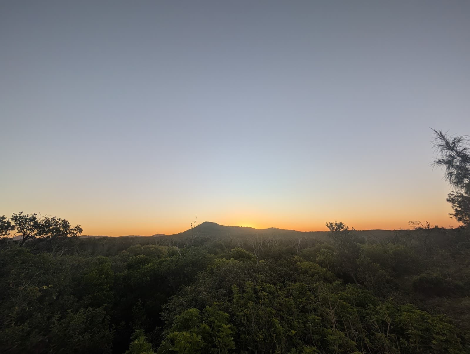 Noosa National Park - Peregian Section — Peregian Beach, Sunshine Coast