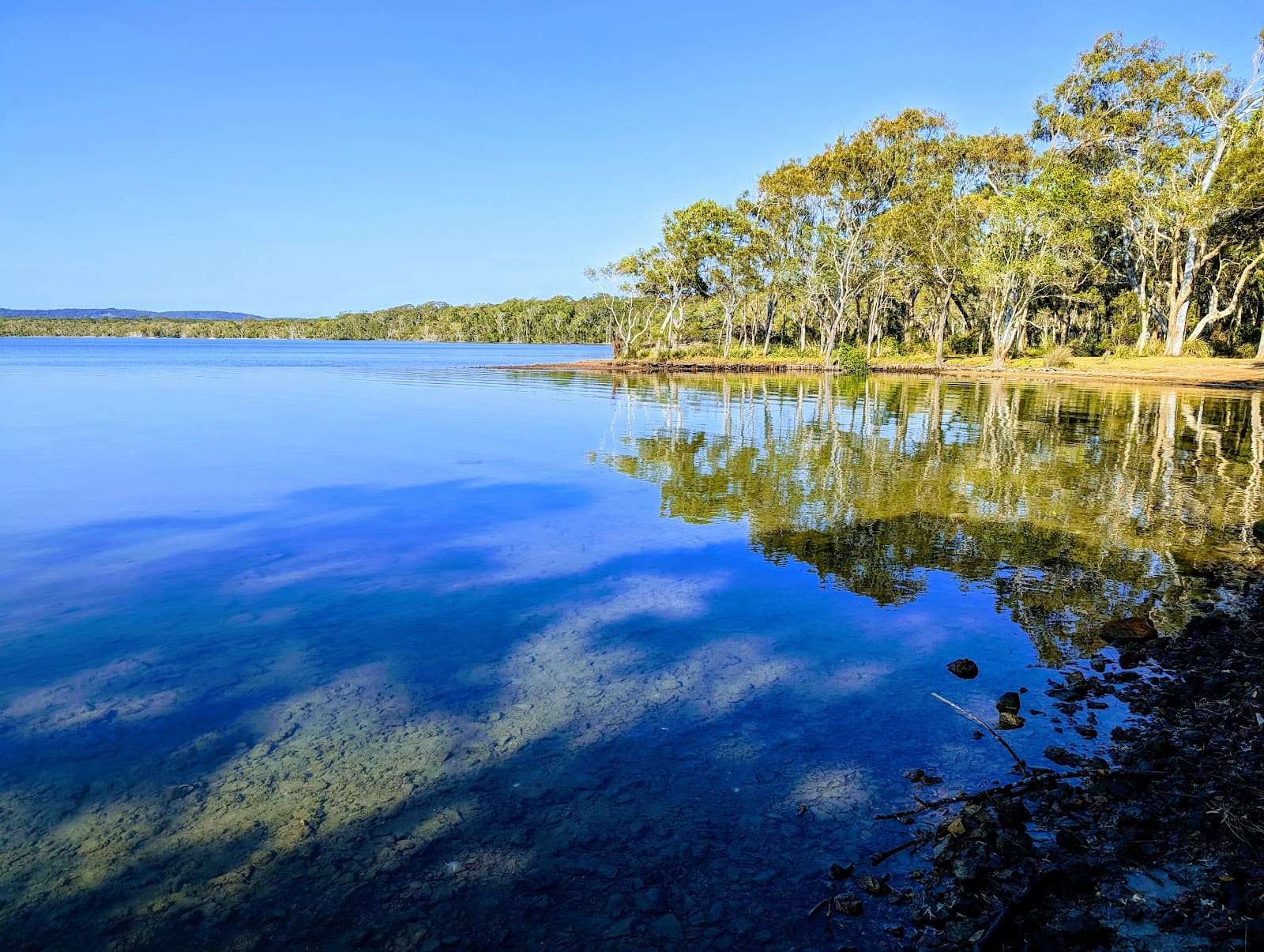 Lake Weyba Bushland Reserve Network — Peregian Beach, Sunshine Coast