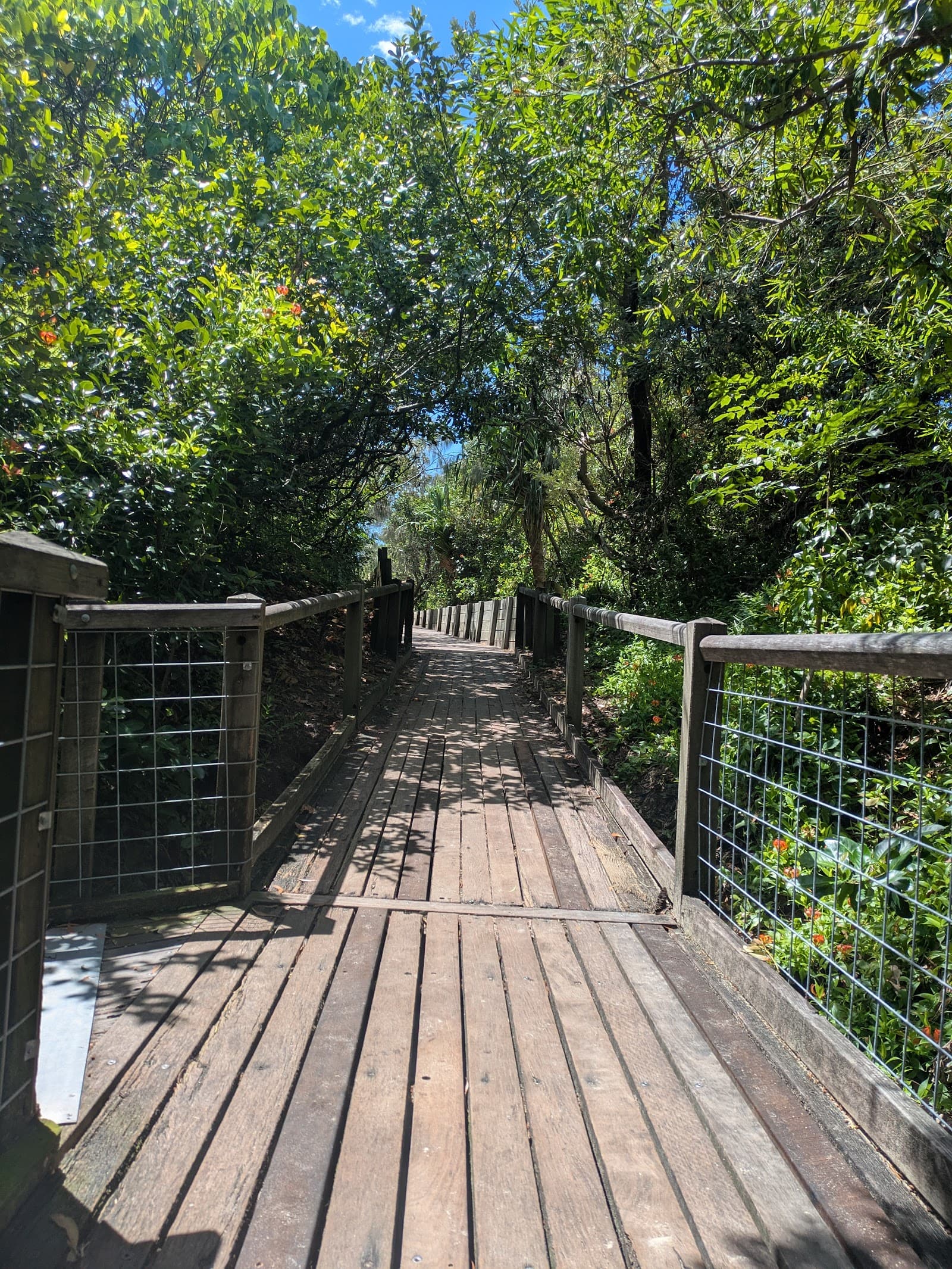 Glen Retreat Park — Marcoola, Sunshine Coast
