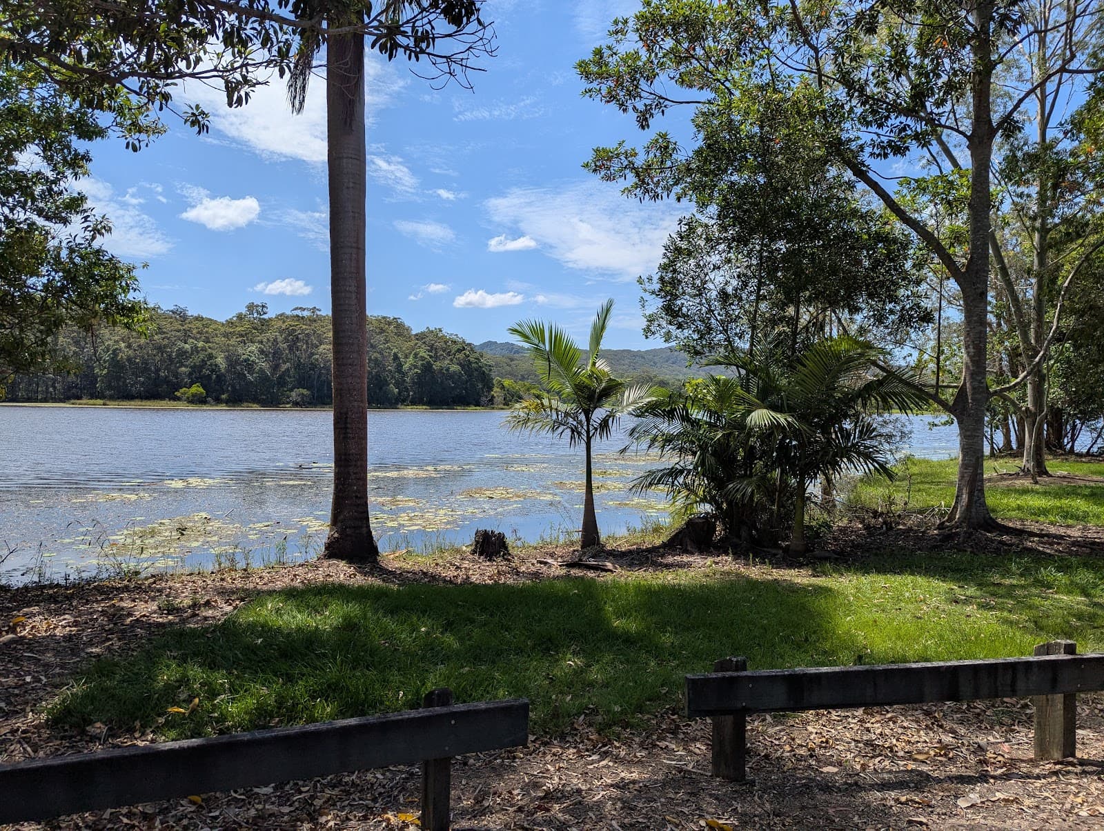 Wappa Falls — Eumundi, Sunshine Coast