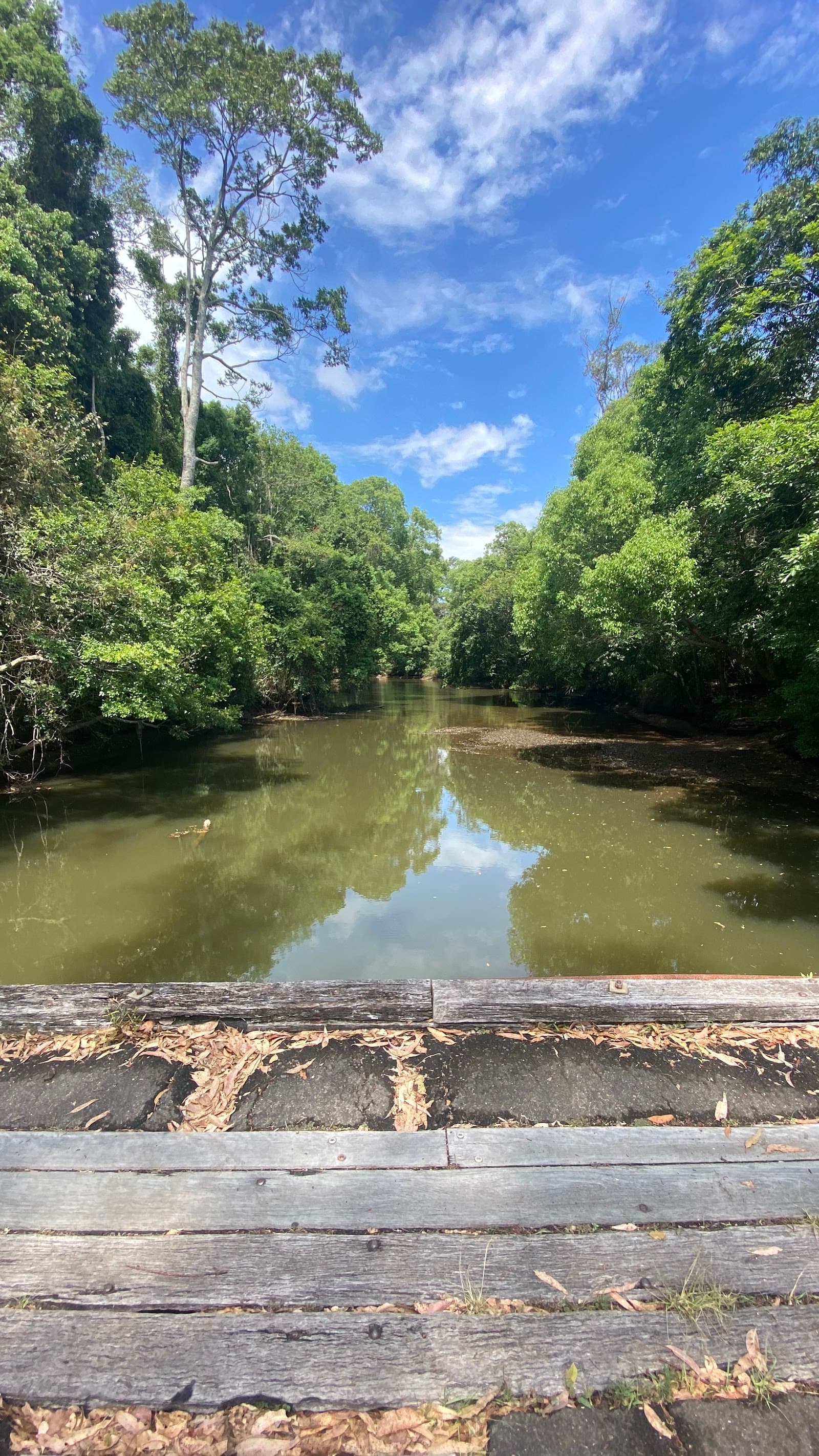 George Best Park — Eumundi, Sunshine Coast