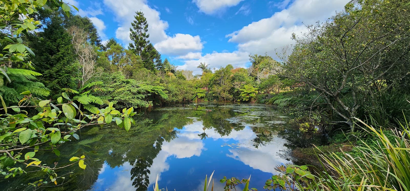 Russell Family Park — Montville, Sunshine Coast