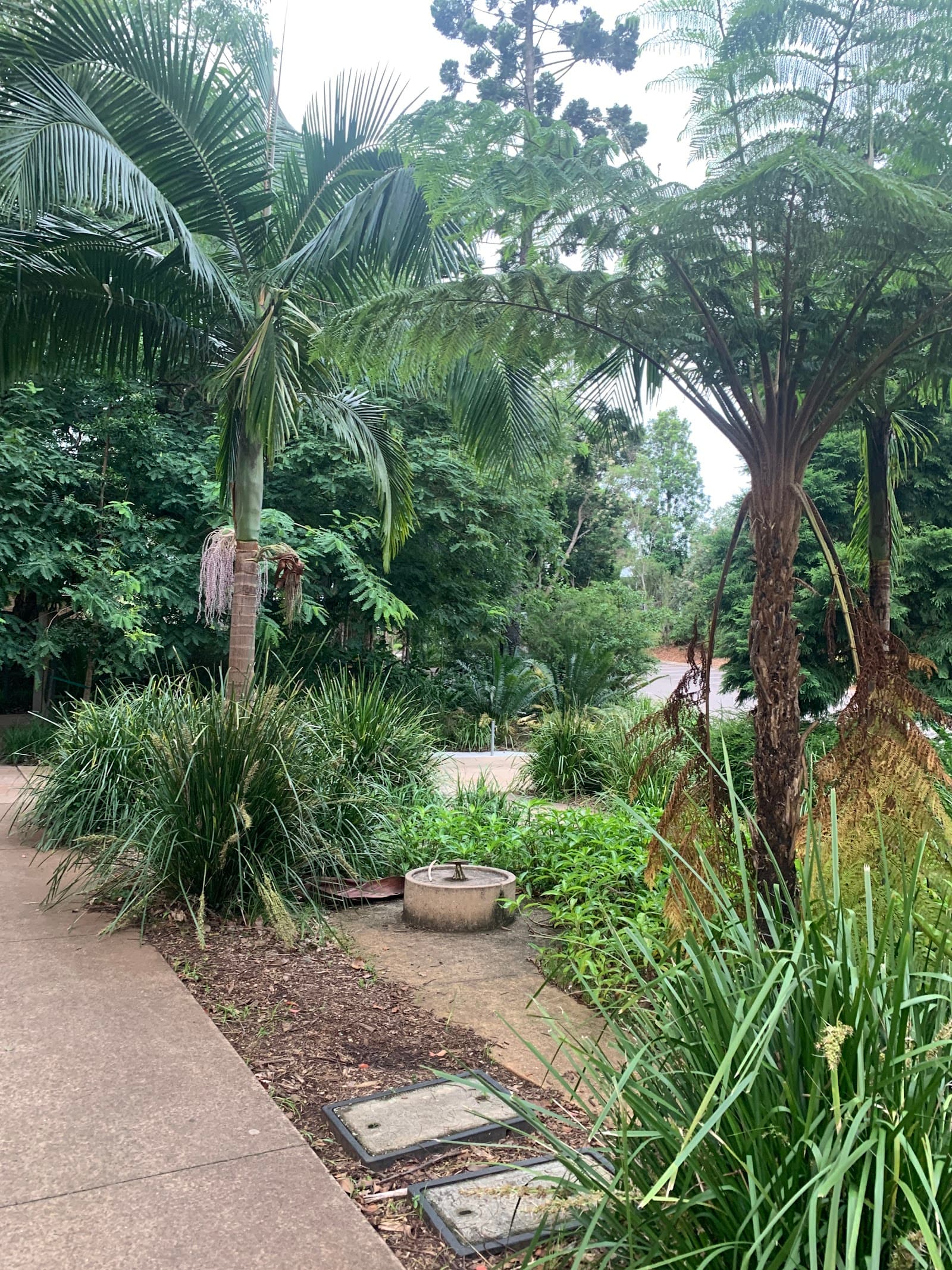 Russell Family Park — Montville, Sunshine Coast