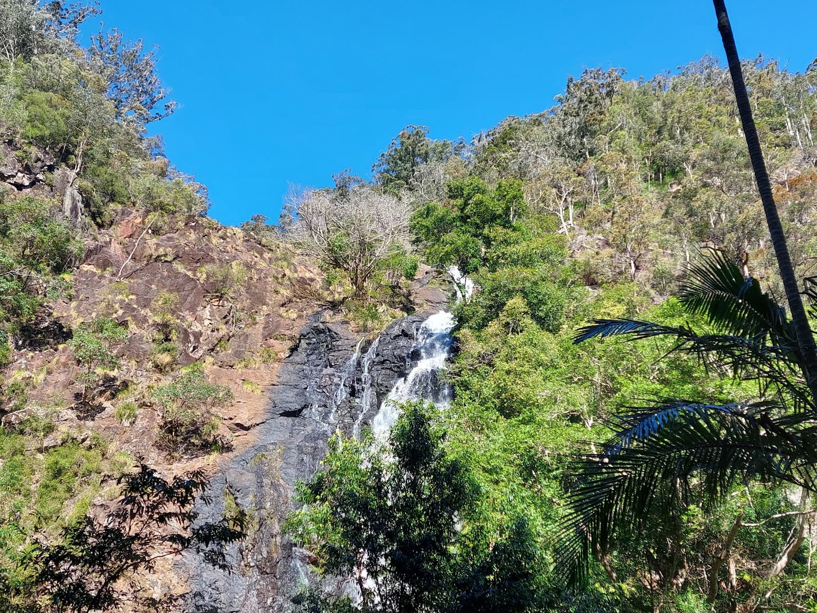 Kondalilla Lookout — Montville, Sunshine Coast