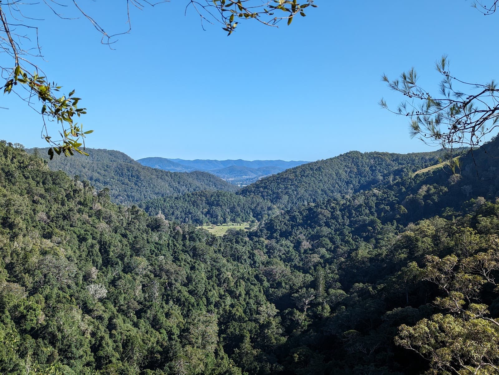 Kondalilla Lookout — Montville, Sunshine Coast