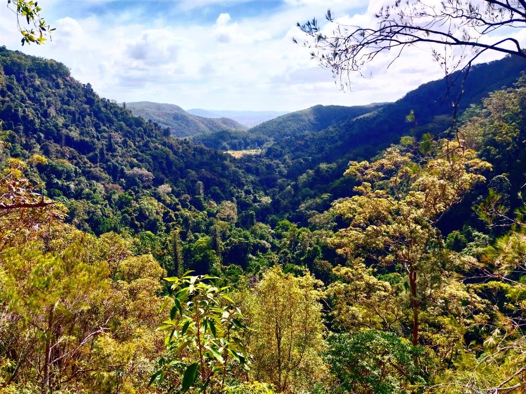 Kondalilla Falls Carpark — Montville, Sunshine Coast