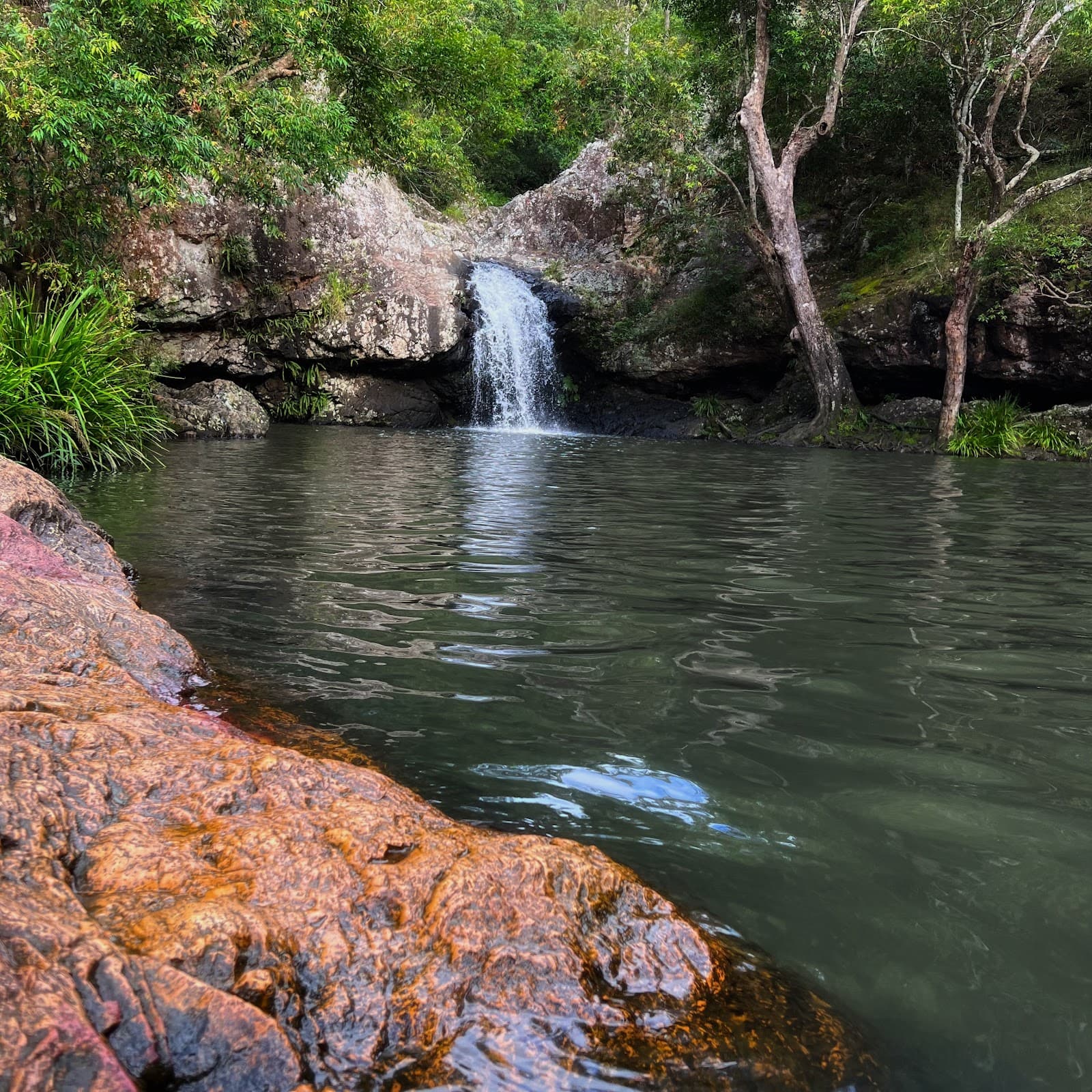 Kondalilla Falls Carpark — Montville, Sunshine Coast