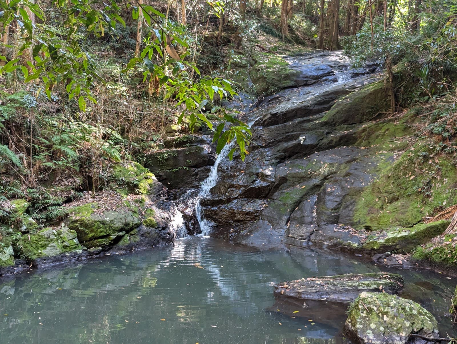 Kondalilla Falls Carpark — Montville, Sunshine Coast