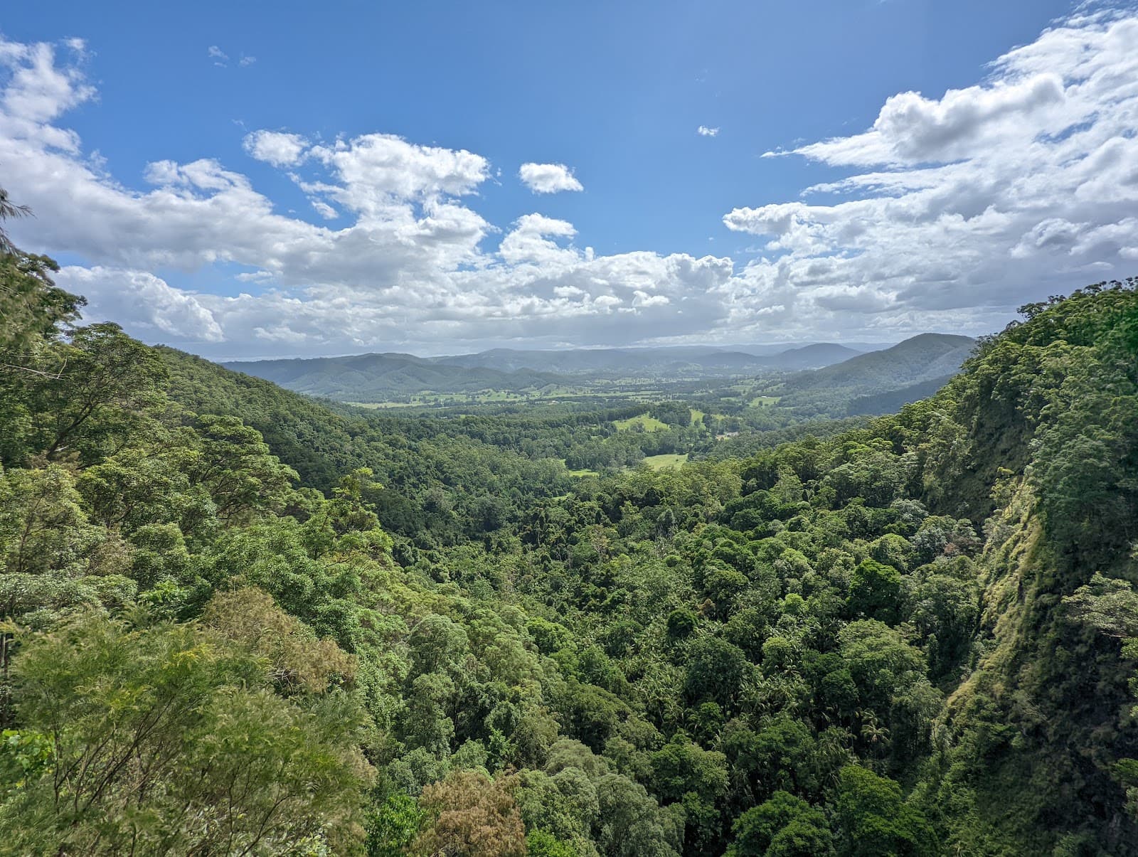 Mapleton Falls National Park — Montville, Sunshine Coast