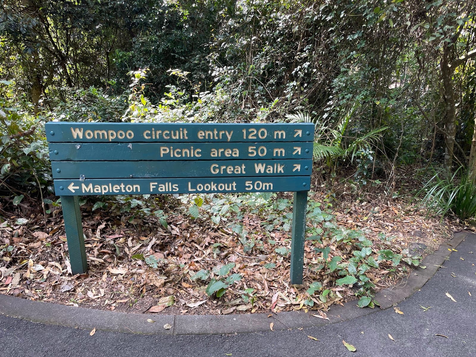 Mapleton Falls National Park — Montville, Sunshine Coast