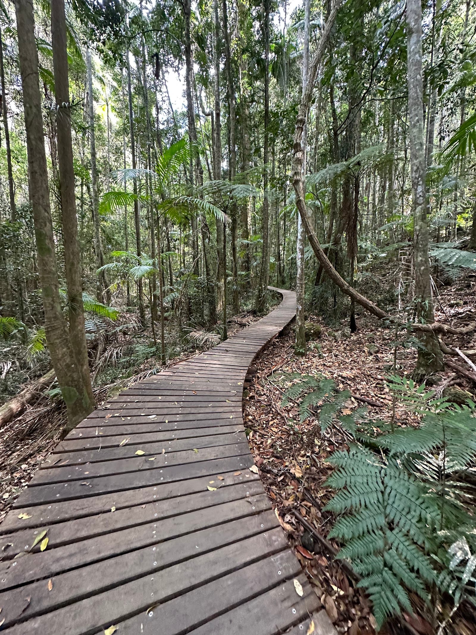 Narrows Lookout — Montville, Sunshine Coast