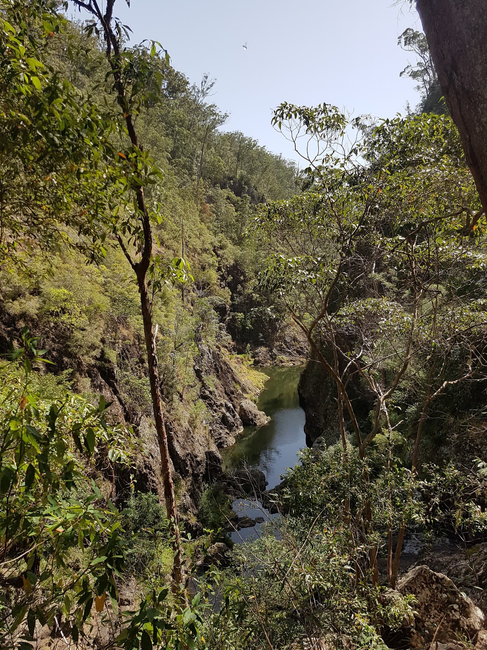 Narrows Lookout — Montville, Sunshine Coast