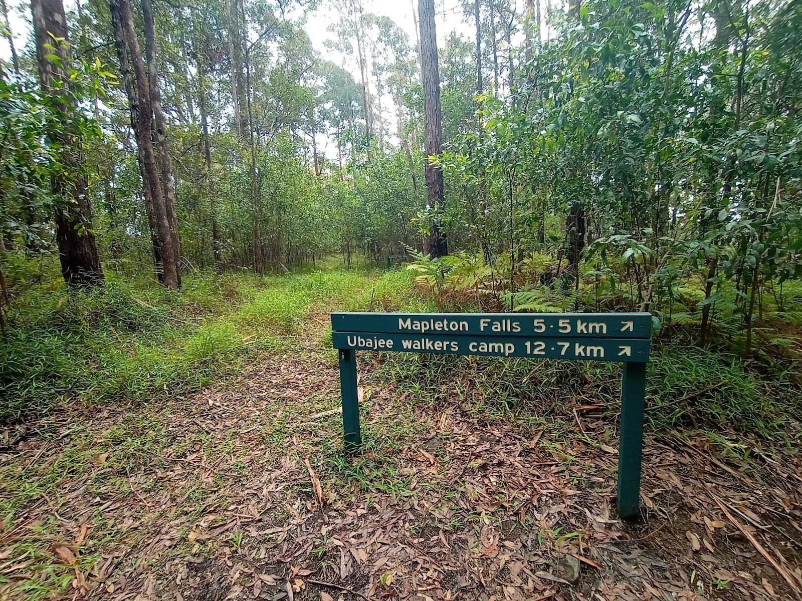 Baxter Falls — Montville, Sunshine Coast