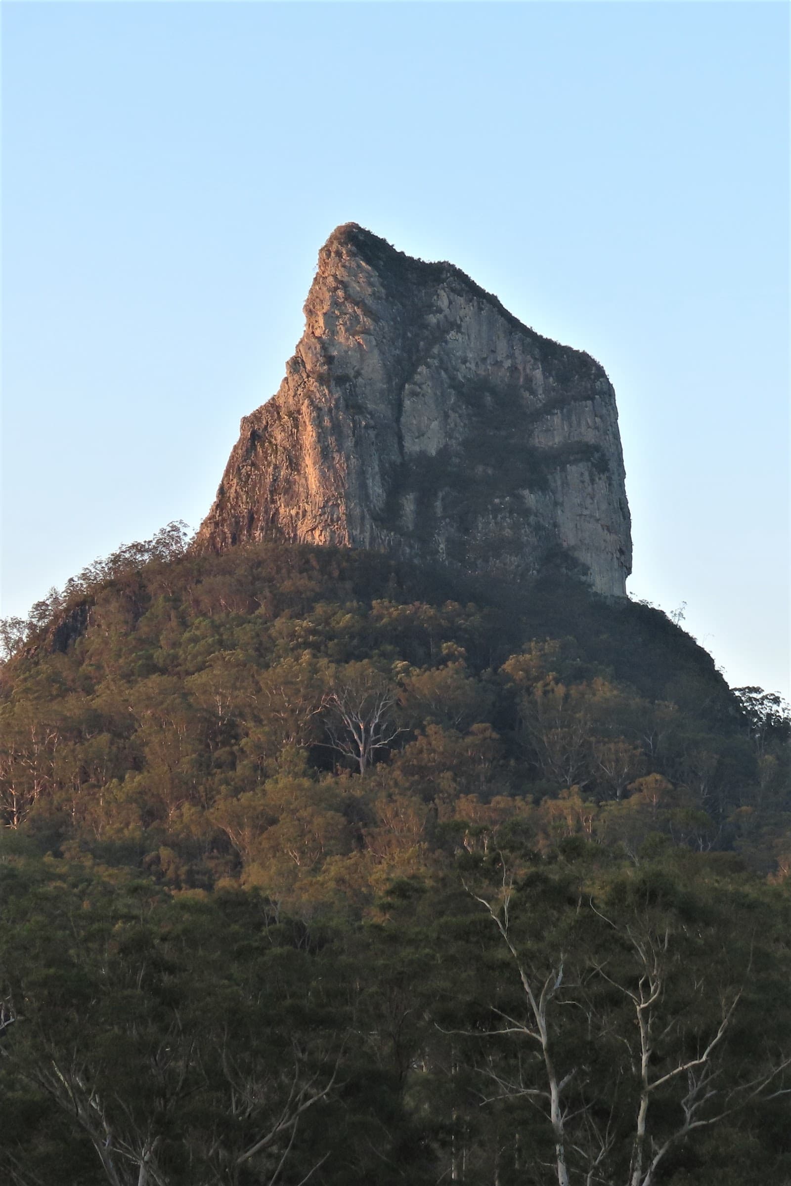 Hinterland Tourism Sunshine Coast — Montville, Sunshine Coast