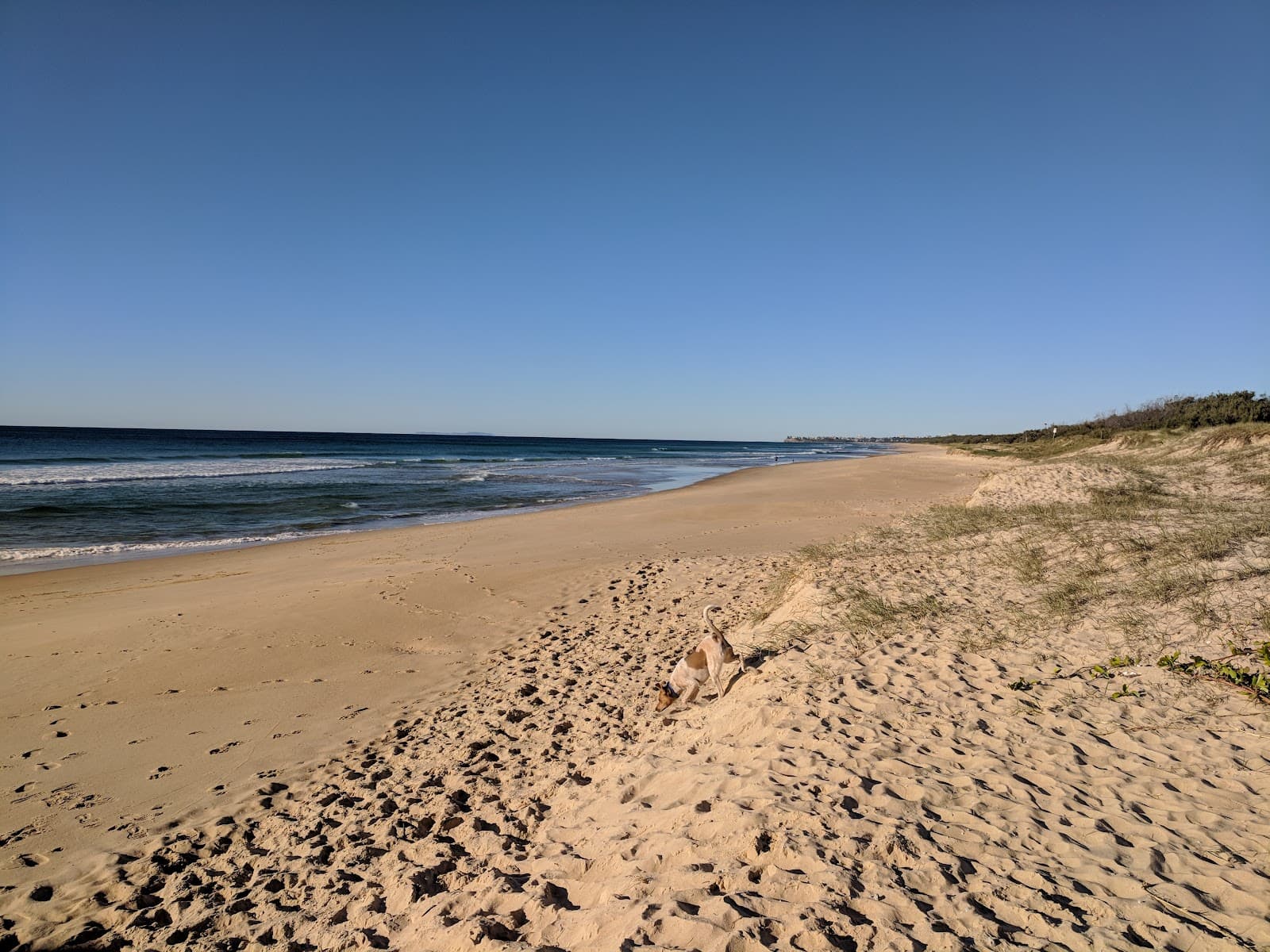 Wyanda Park — Kawana Waters, Sunshine Coast